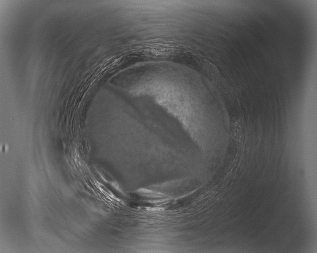 X0000086101009200703231429