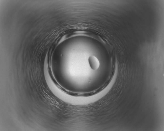 X0000086101010200703231429
