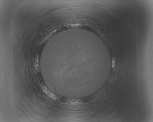 X0000086101011200703231429