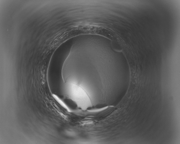 X0000086101013200703231429