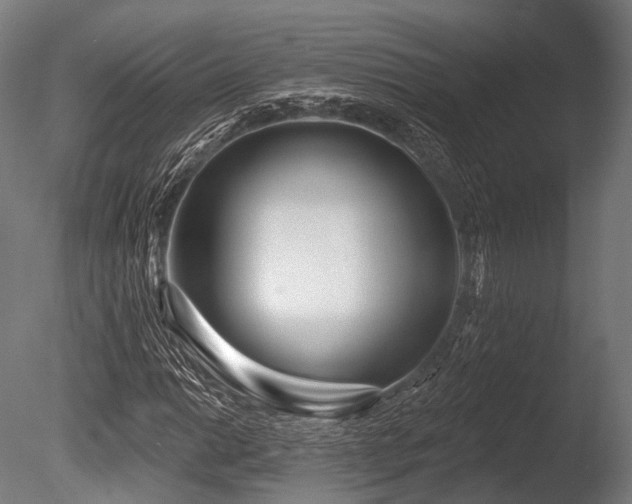 X0000086101014200703231429