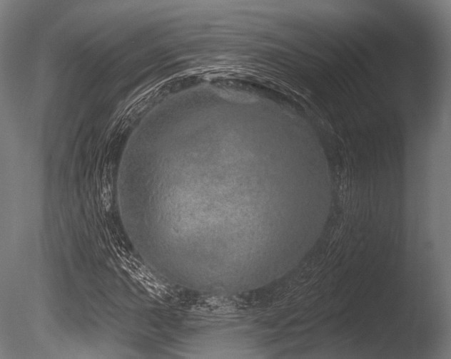 X0000086101015200703231429
