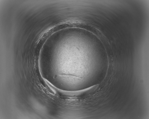 X0000086101016200703231429