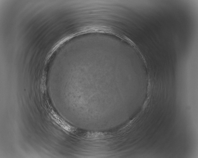X0000086101019200703231429