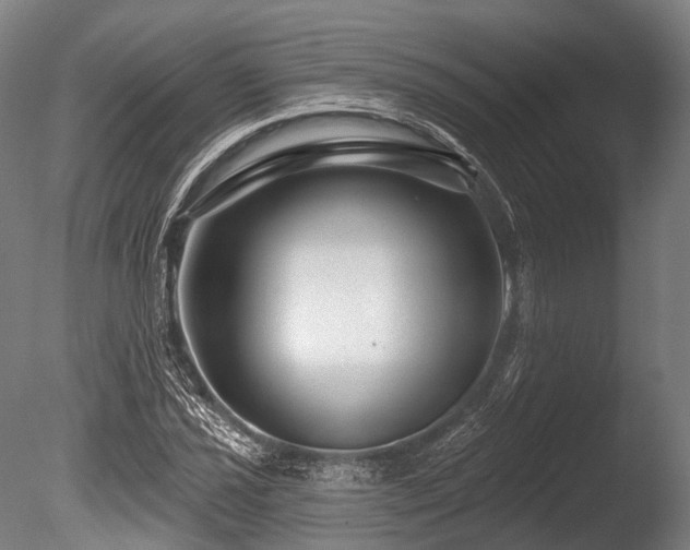 X0000086101021200703231429