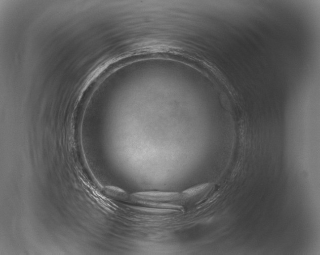 X0000086101023200703231429