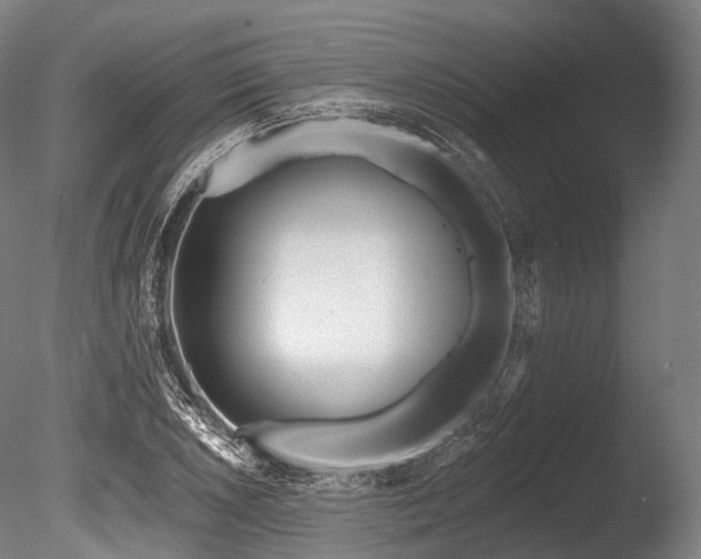 X0000086101026200703231429