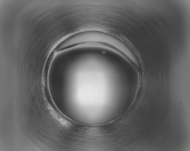 X0000086101028200703231429