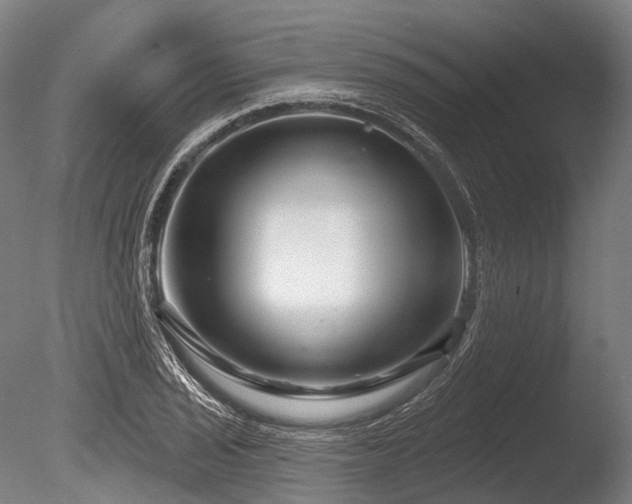 X0000086101029200703231429