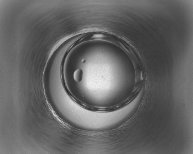 X0000086101030200703231429