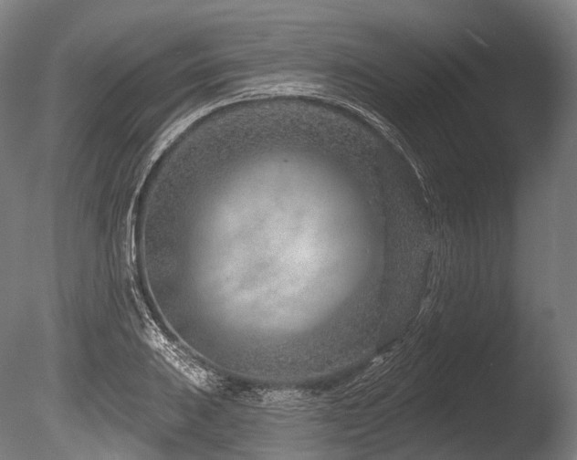 X0000086101031200703231429