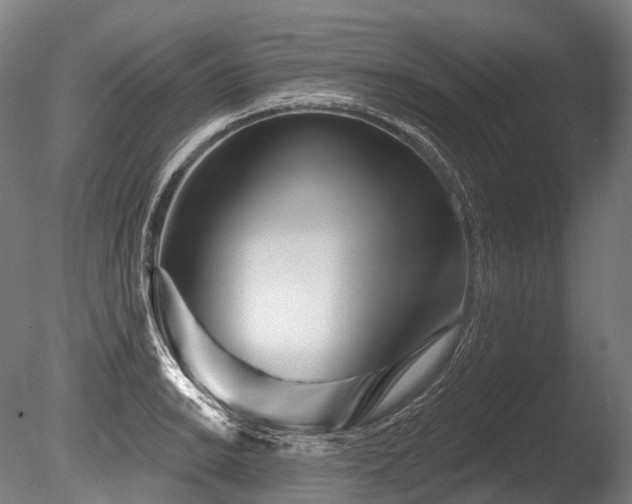 X0000086101038200703231429