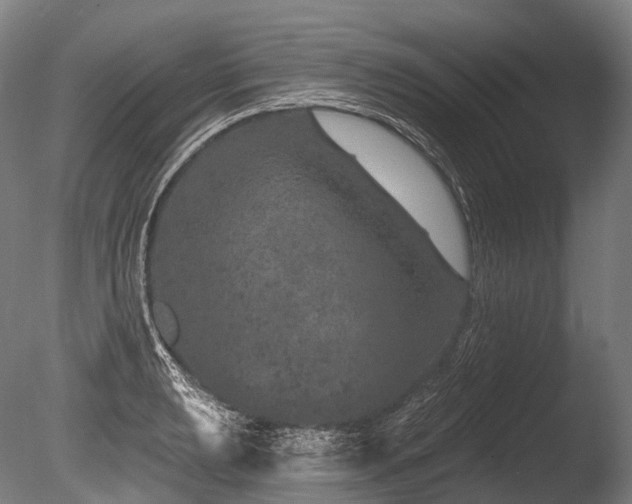 X0000086101039200703231429