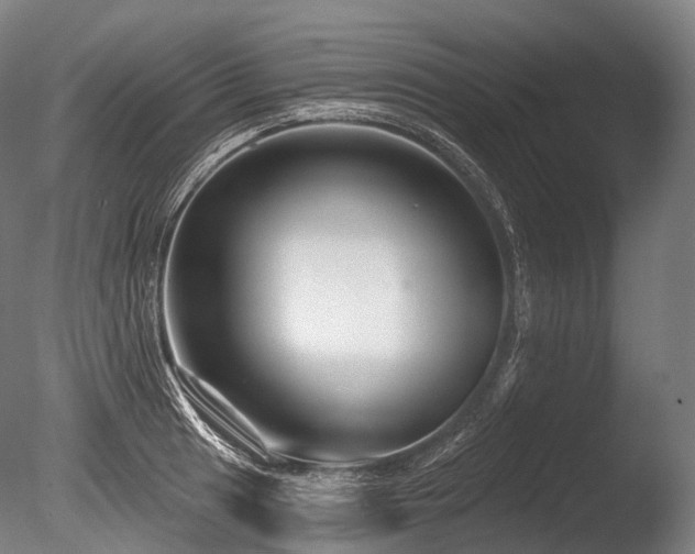 X0000086101041200703231429