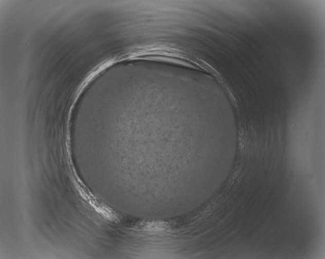 X0000086101043200703231429