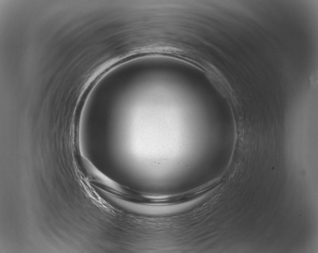 X0000086101044200703231429