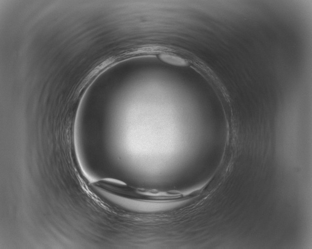 X0000086101049200703231429