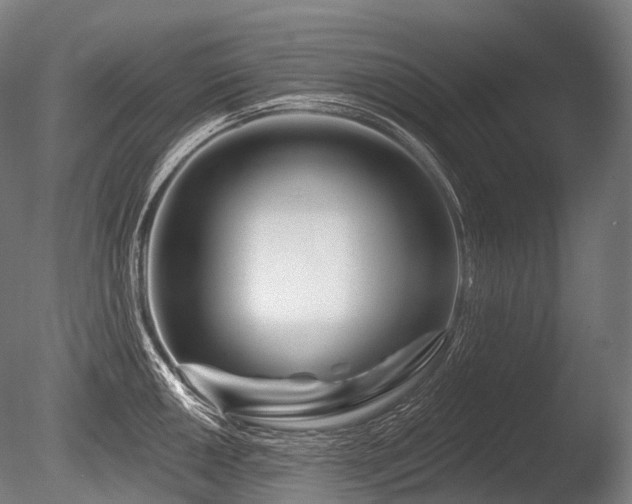 X0000086101050200703231429