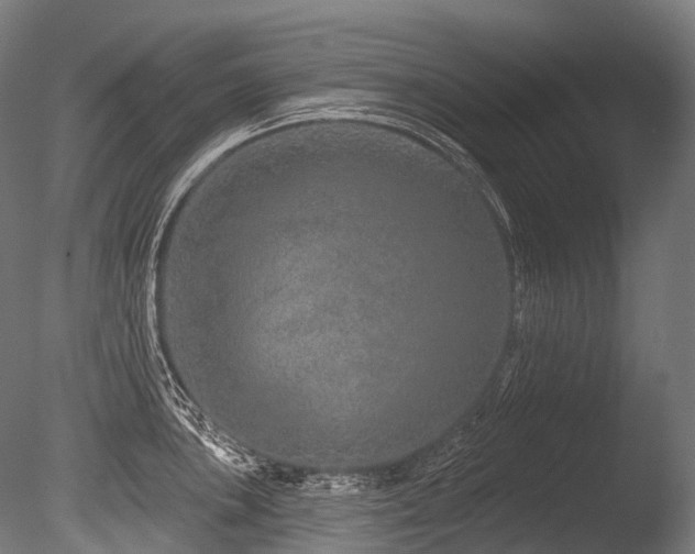 X0000086101051200703231429