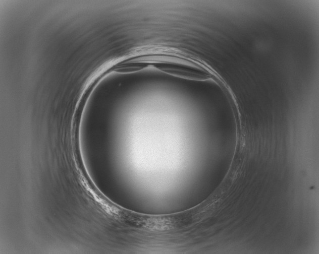 X0000086101053200703231429