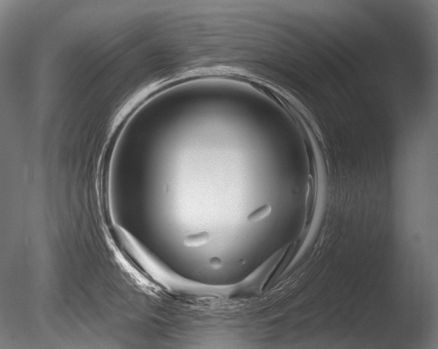 X0000086101054200703231430