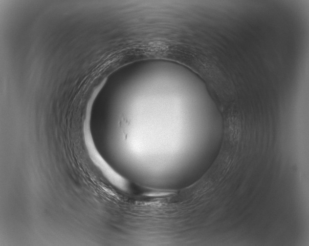 X0000086101057200703231429