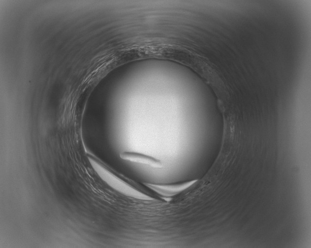 X0000086101060200703231429