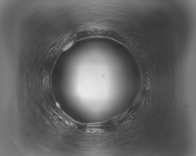 X0000086101061200703231429