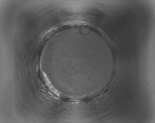 X0000086101063200703231429