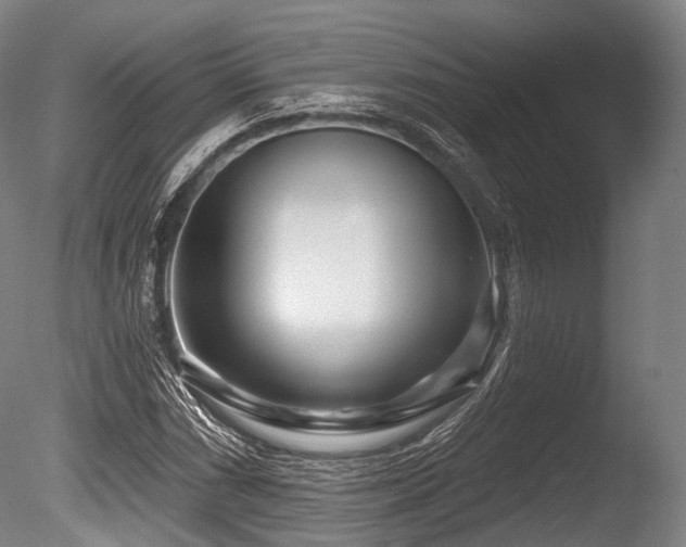 X0000086101066200703231429