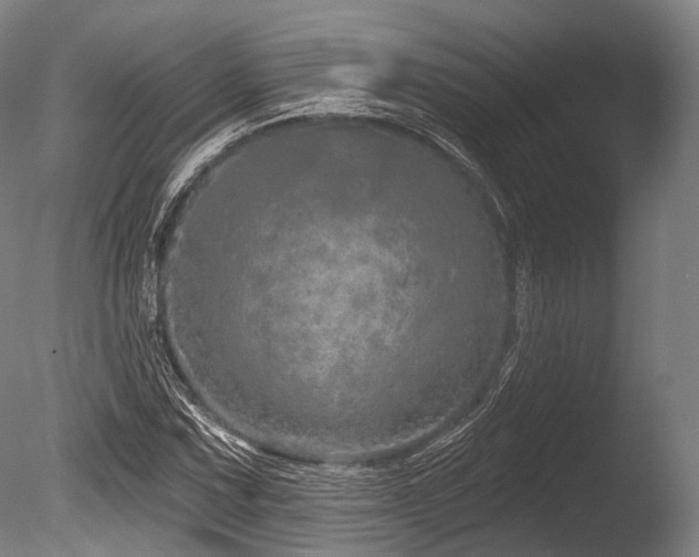 X0000086101067200703231429