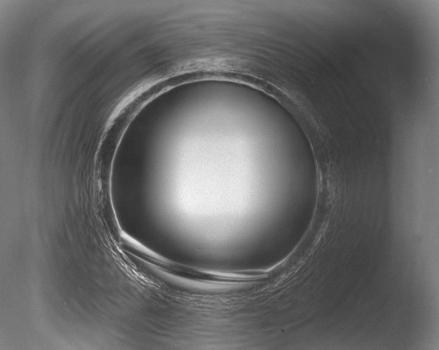 X0000086101070200703231429