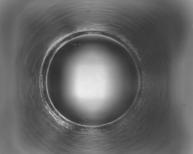 X0000086101072200703231428