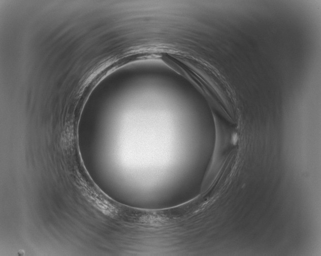 X0000086101073200703231428