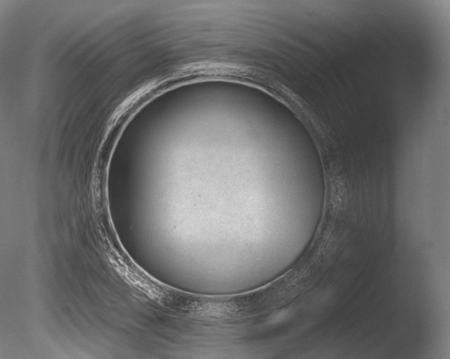 X0000086101074200703231428