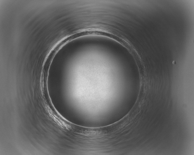 X0000086101076200703231428