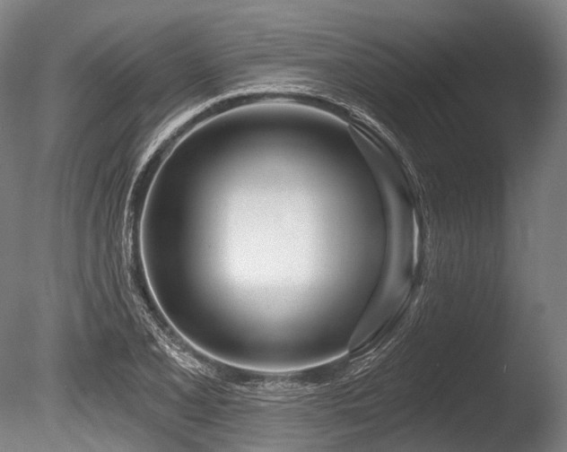 X0000086101077200703231428