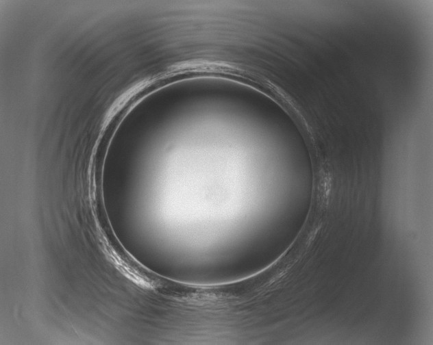 X0000086101082200703231428