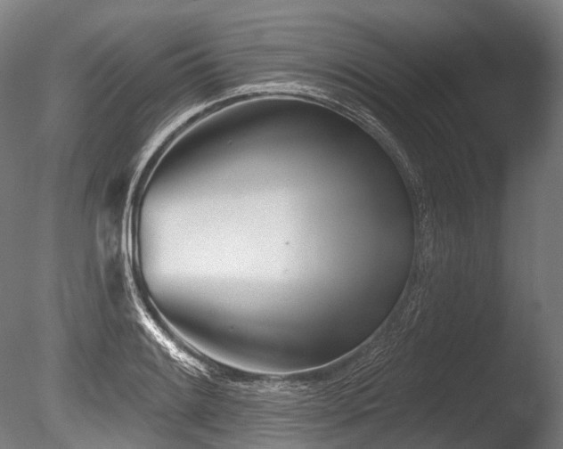X0000086101084200703231428