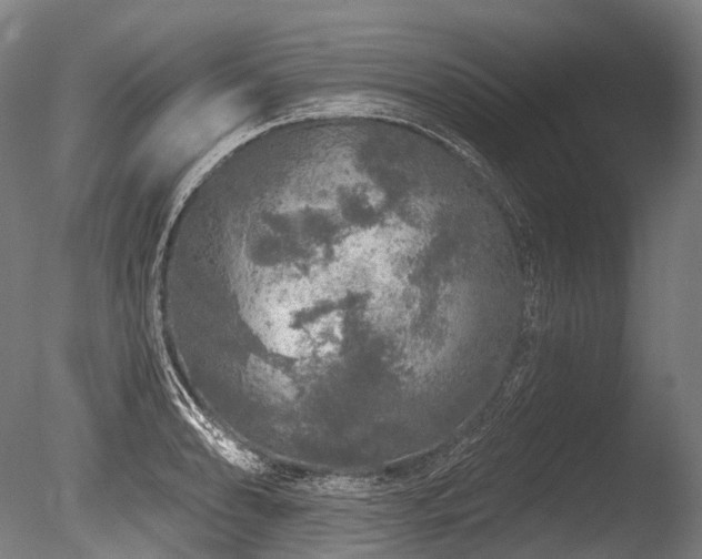 X0000086101086200703231428