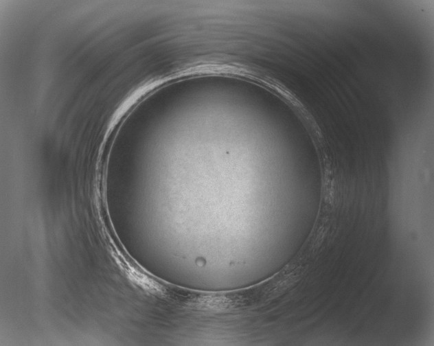 X0000086101094200703231428