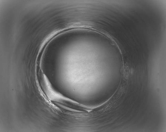 X0000086101096200703231428