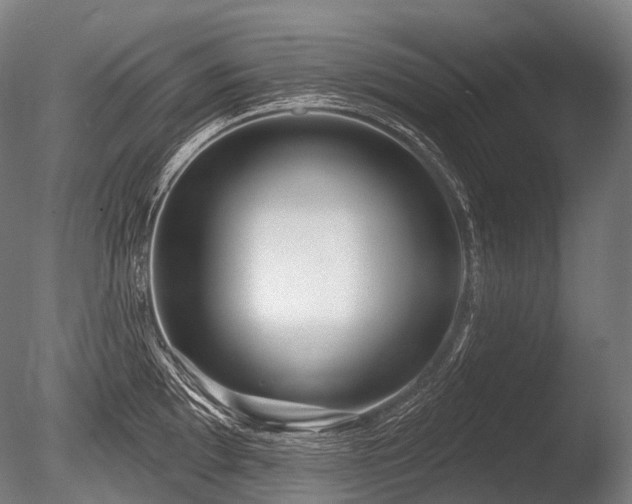 X0000086101097200703231428