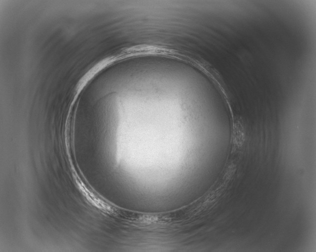 X0000086101098200703231428
