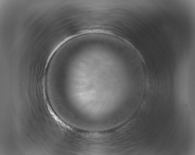 X0000086101100200703231428