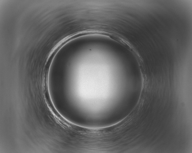 X0000086101101200703231428