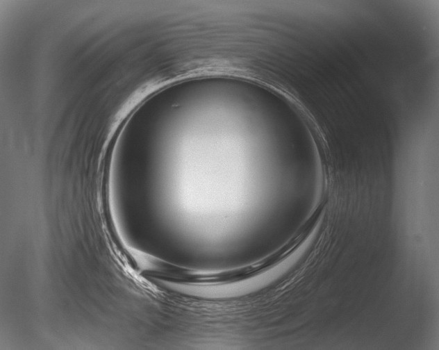 X0000086101102200703231428
