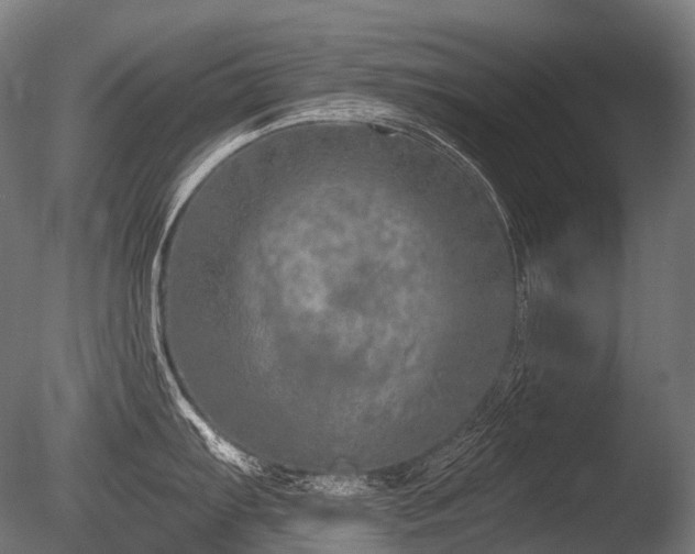 X0000086101103200703231428