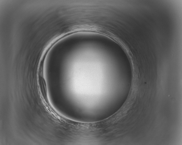 X0000086101104200703231428