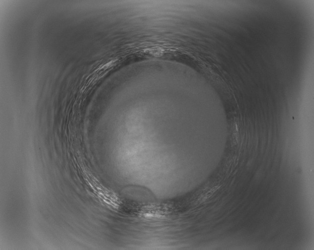 X0000086101105200703231427